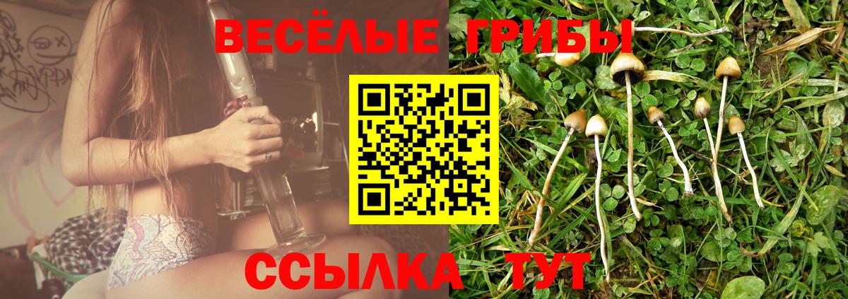 Псилоцибиновые грибы GOLDEN TEACHER Выборг