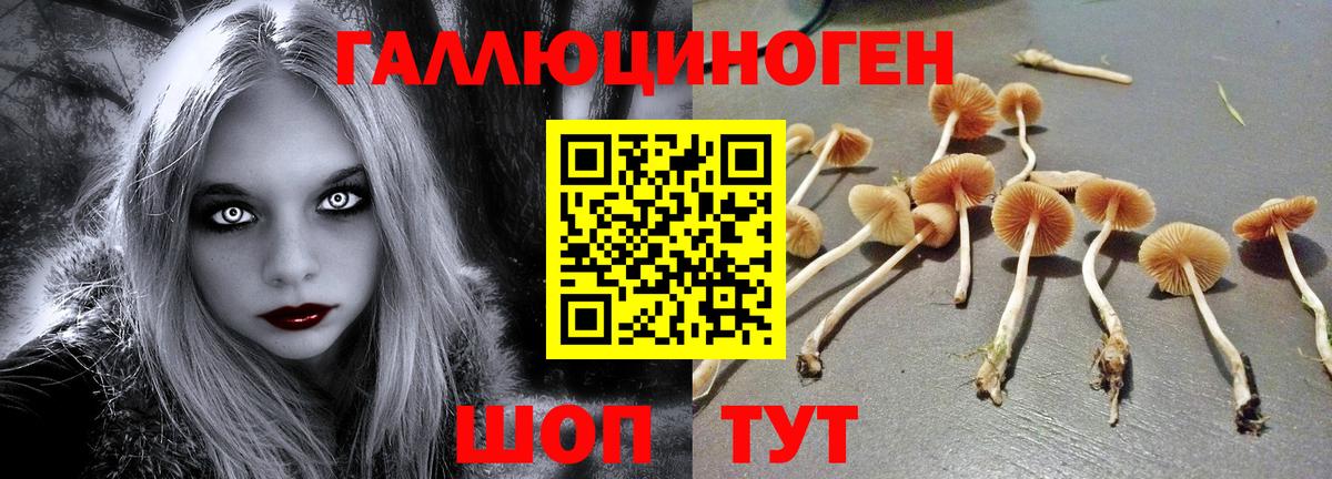 Выборг  Псилоцибиновые грибы Psilocybe  Галлюциногенные грибы ЛСД  Вход с VPN 
