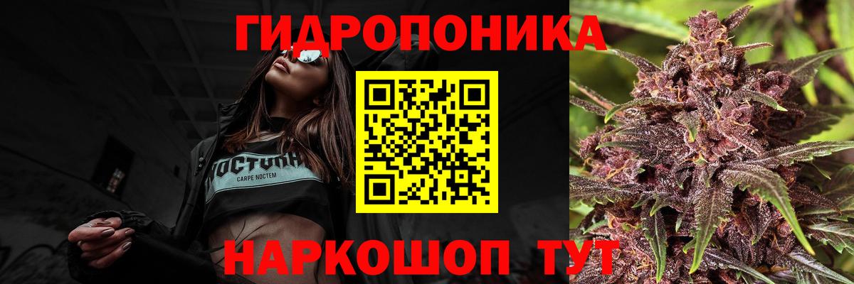 Марихуана планчик  Вход с VPN  МАРИХУАНА индика  Выборг  Канабис AK-47  Конопля White Widow 